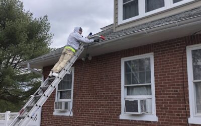 Understanding the Perils of Clogged Gutters